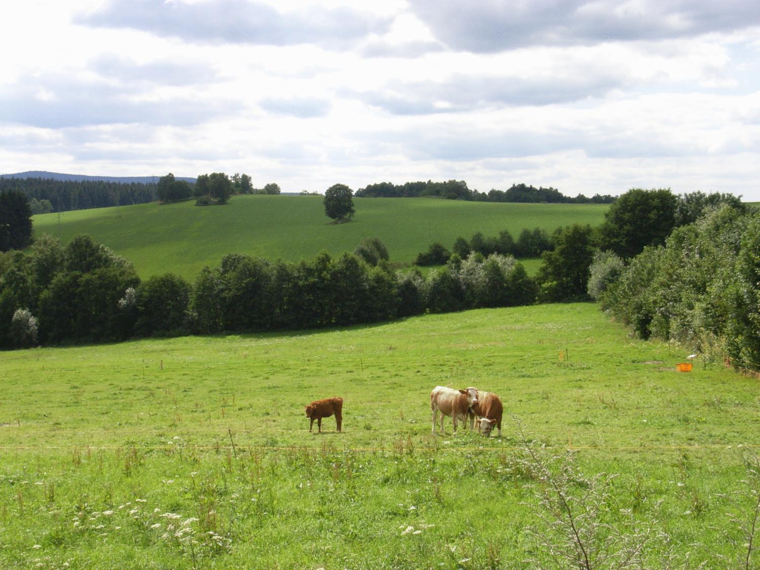 Hotel Und Restaurant Koehlerhuette - Fuerstenbrunn Beierfeld Exteriör bild